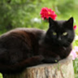 Meet your Posher, Hélène